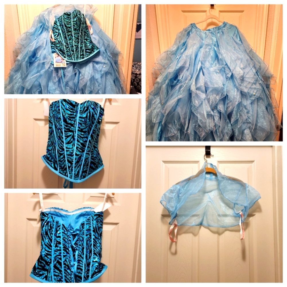 Quince prom gown